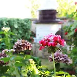 Cavae Romanae